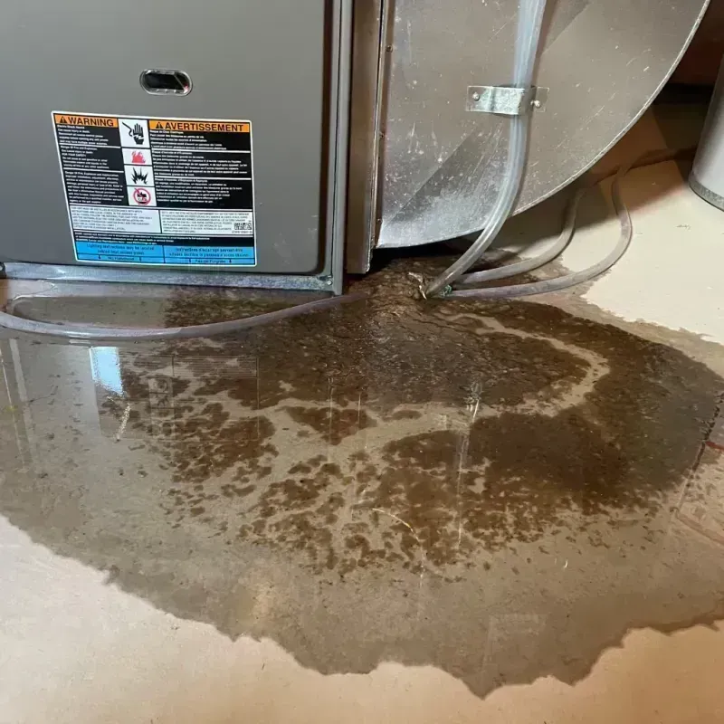 Appliance Leak Cleanup in Frontenac, MO